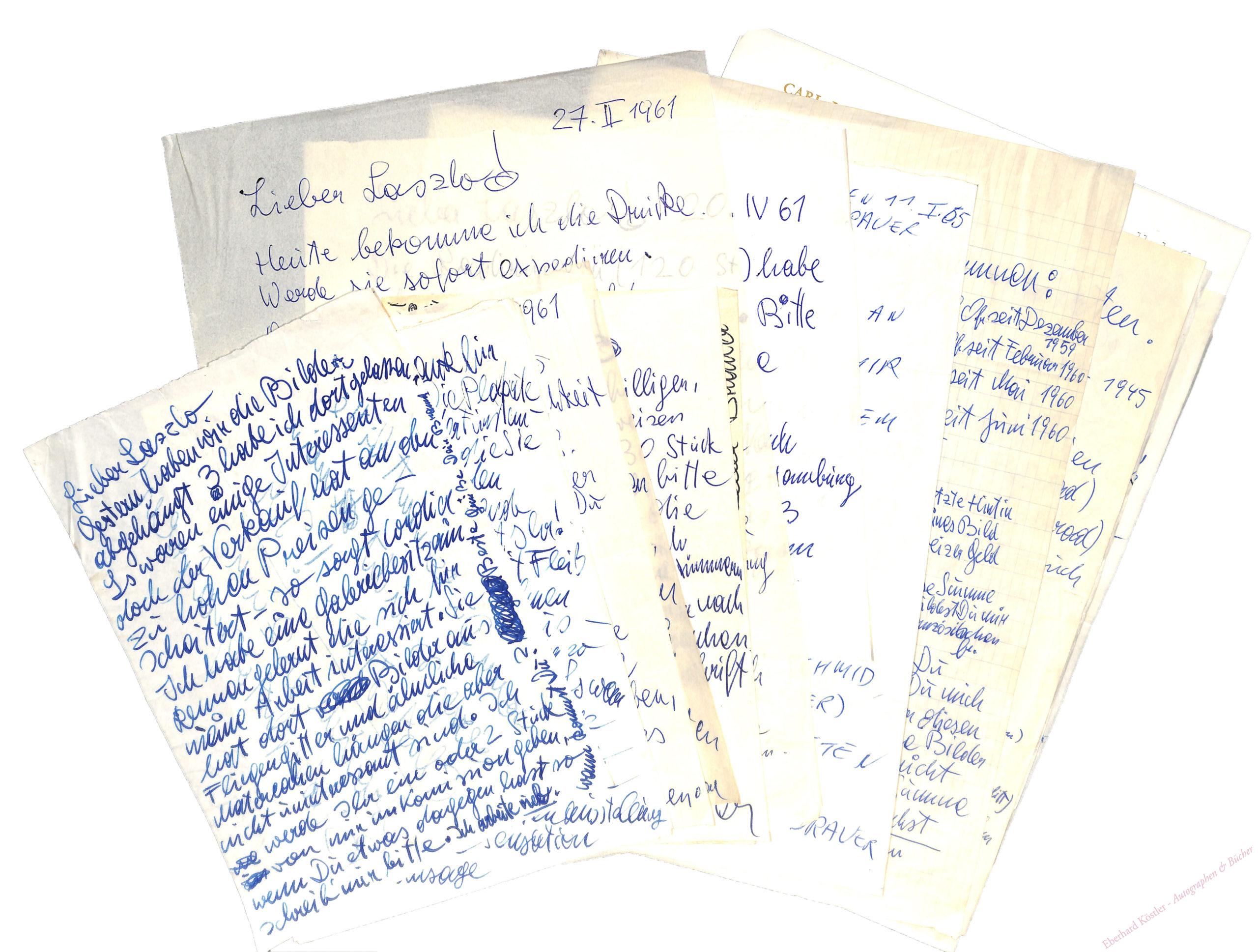 Moluccan Kakadu Realistische Malerei Hulle Klebefolie Fur